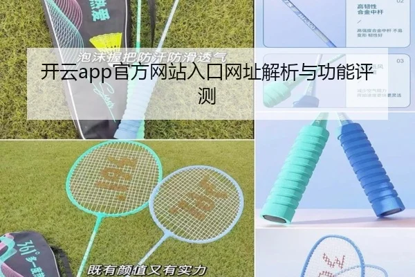 开云app官方网站入口网址解析与功能评测